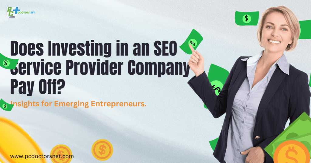 Does Investing in an SEO Service Provider Company Pay Off? Insights for Emerging Entrepreneurs.