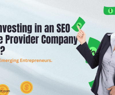 Does Investing in an SEO Service Provider Company Pay Off? Insights for Emerging Entrepreneurs.