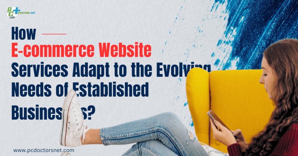 how e commerce website services adapt to the evolving needs of established businesses