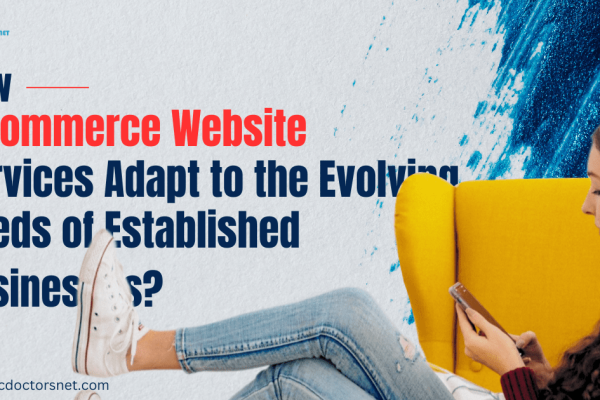 how e commerce website services adapt to the evolving needs of established businesses