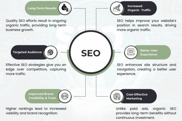 seo inforgraphic