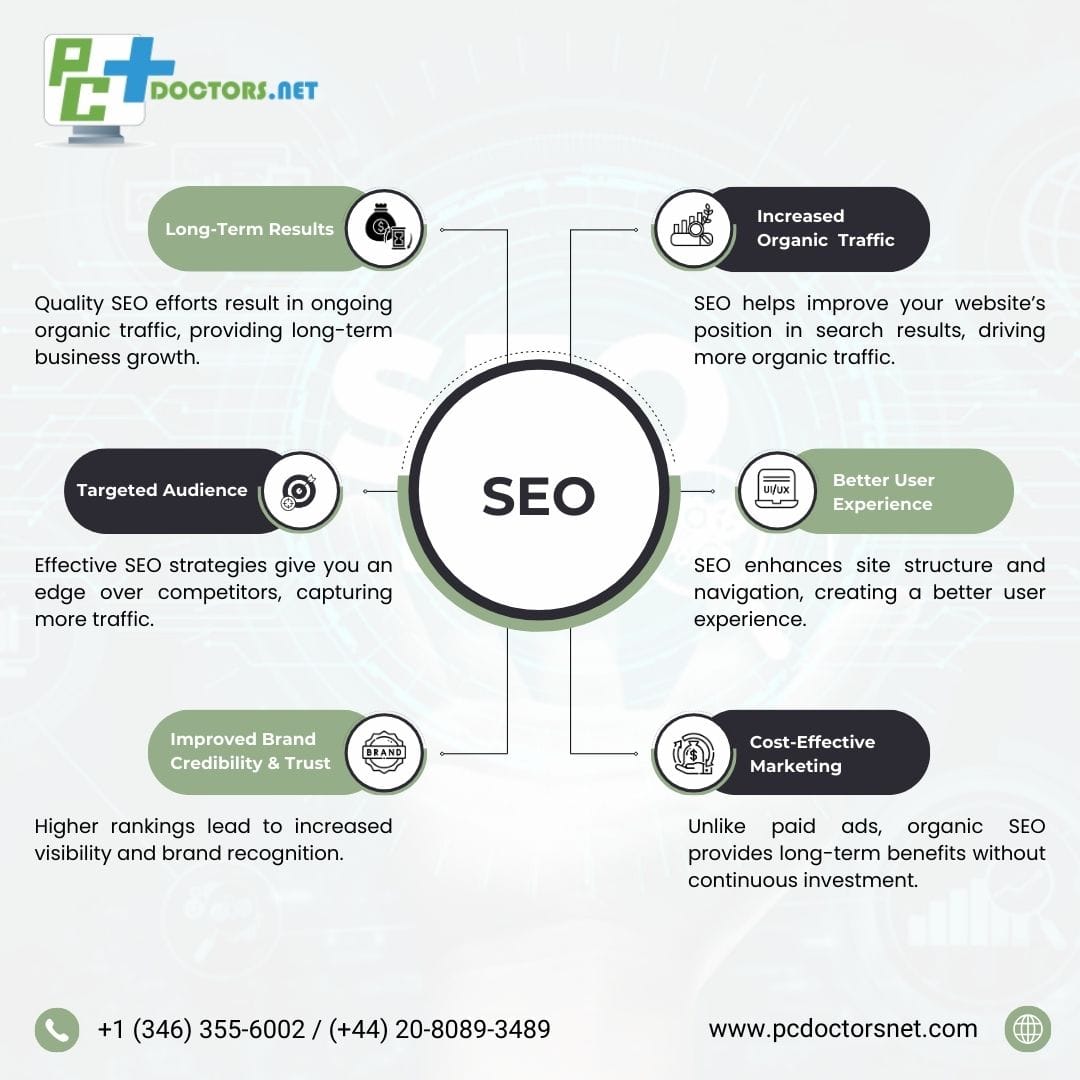 seo inforgraphic