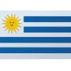 Uruguay National Flag